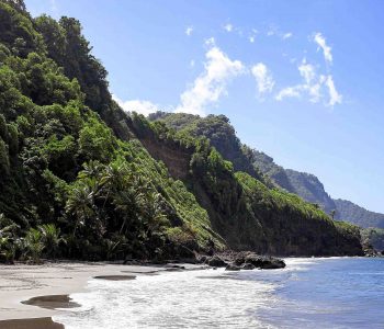 Où vivre le mieux Martinique ou Guadeloupe ?