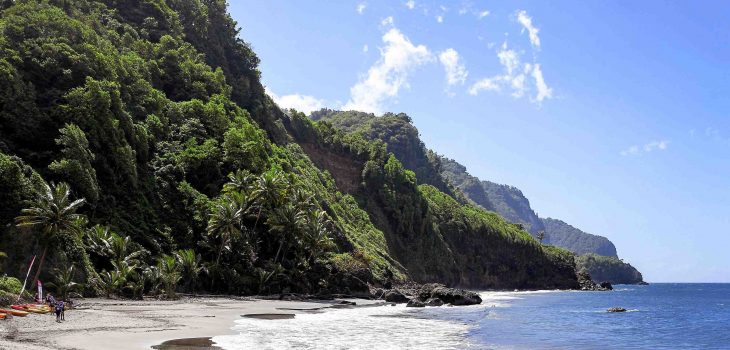 Où vivre le mieux Martinique ou Guadeloupe ?