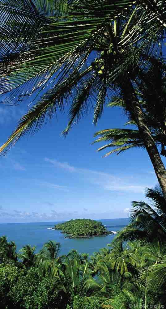 Pourquoi les touristes viennent en Guadeloupe ?