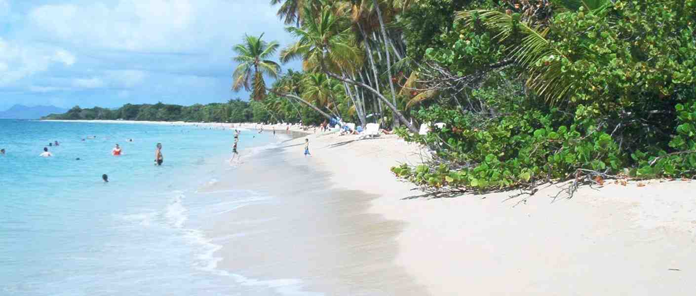 Quel est le moins cher Martinique ou Guadeloupe ?