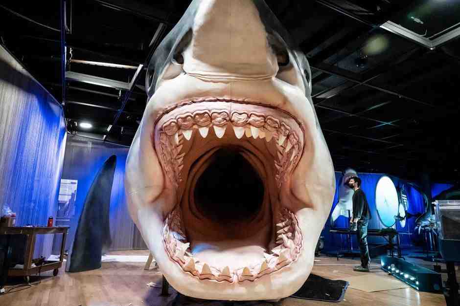 Quel est le requin le plus vieux du monde ?