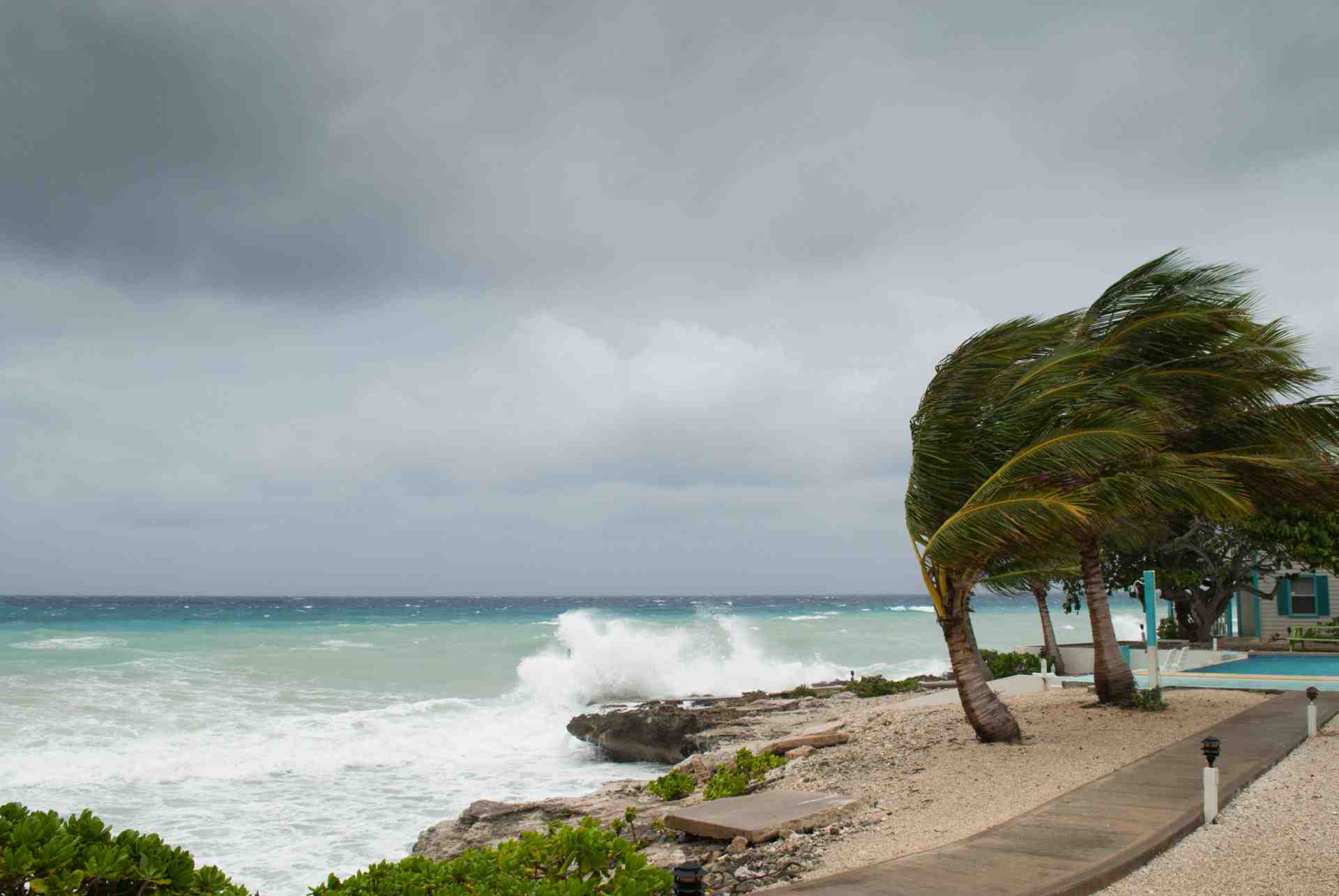 Quels sont les danger de la Martinique ?