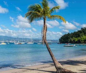 Quels sont les mois d'été en Martinique ?