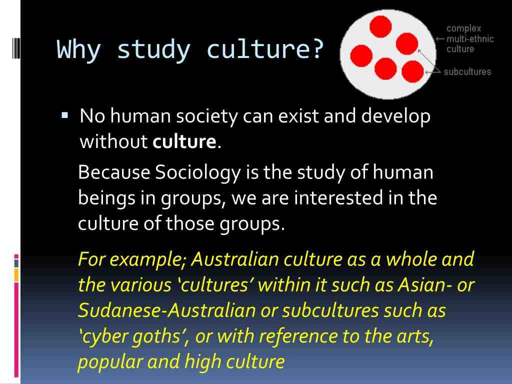 Comment travailler dans la culture ?