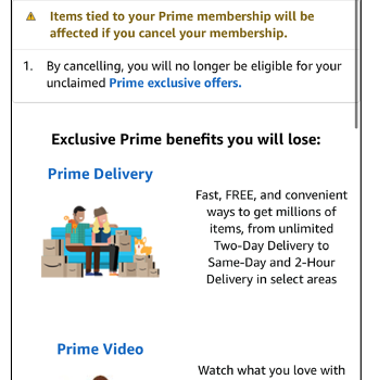 Pourquoi Amazon Prime ne livre plus en 1 jour ?